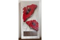 Tableau coquelicot 60 * 30 cm