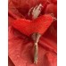 Bouquet de coquelicots en coeur
