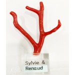 Branche de corail avec socle personnalisé Branche de corail avec socle personnalisé