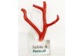Branche de corail avec socle personnalisé