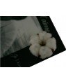 Mini cadeau Aim'