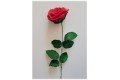 Rose en laine