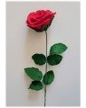 Rose en laine