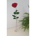Rose en laine