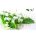 Sets de table - muguet