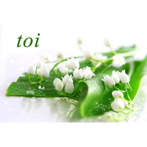 Sets de table - muguet