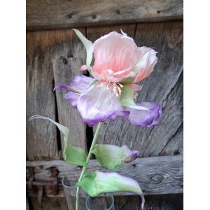 Iris en soie
